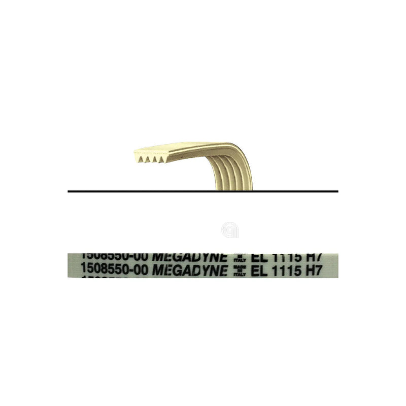 ELECTROLUX, REX, ZANUSSI, PRIVILEG, ZANKER, UNIVERSALE - Correia de máquina de lavar 1115 H7 - 1508550009
