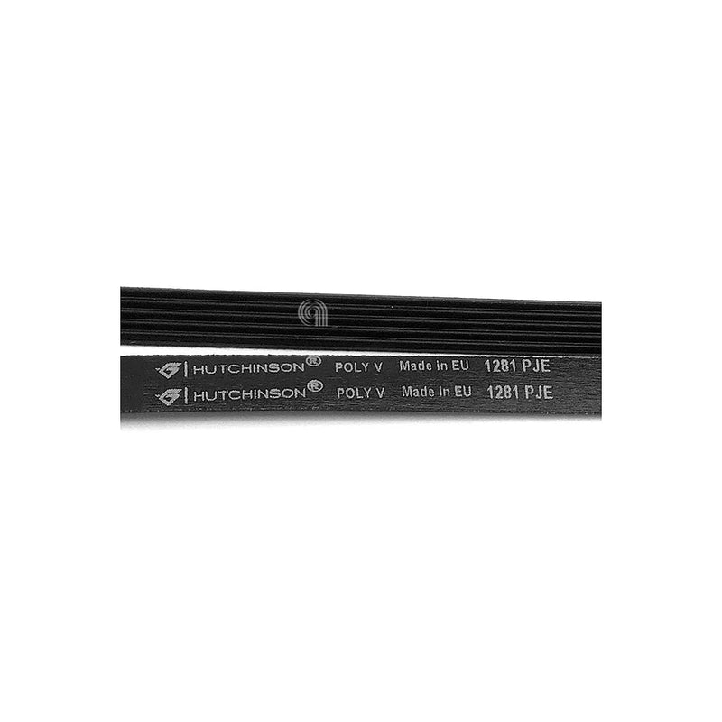 ELECTROLUX, MIDEA - Correia para máquina de lavar 1281 J5 EL - 4055123915