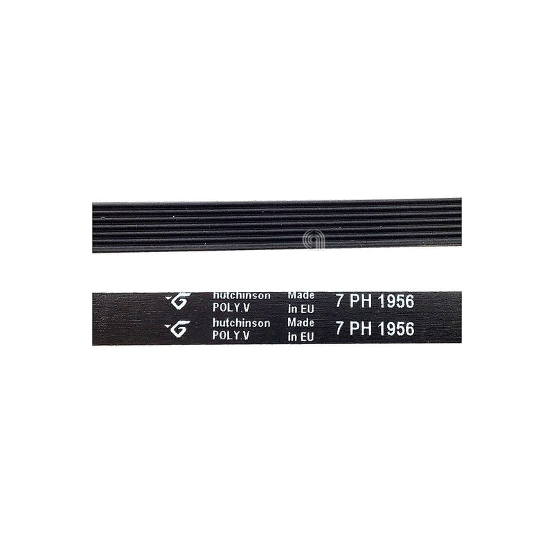 Correia H7 1956 Poly-V para secadora Gorenje original