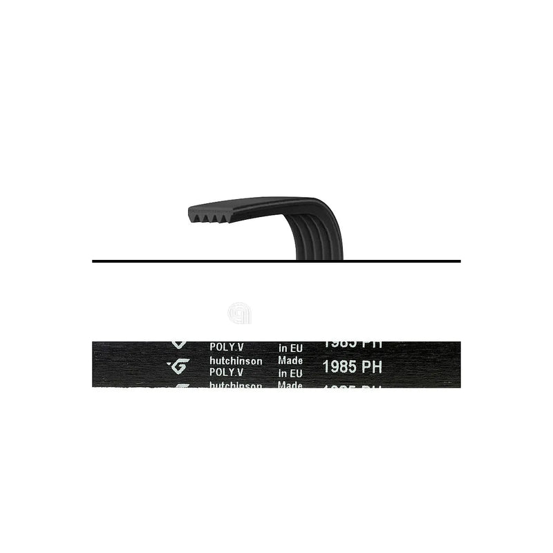BAUKNECHT - Correia de Transmissão 1985 H7 Poly-V - 03238600001580