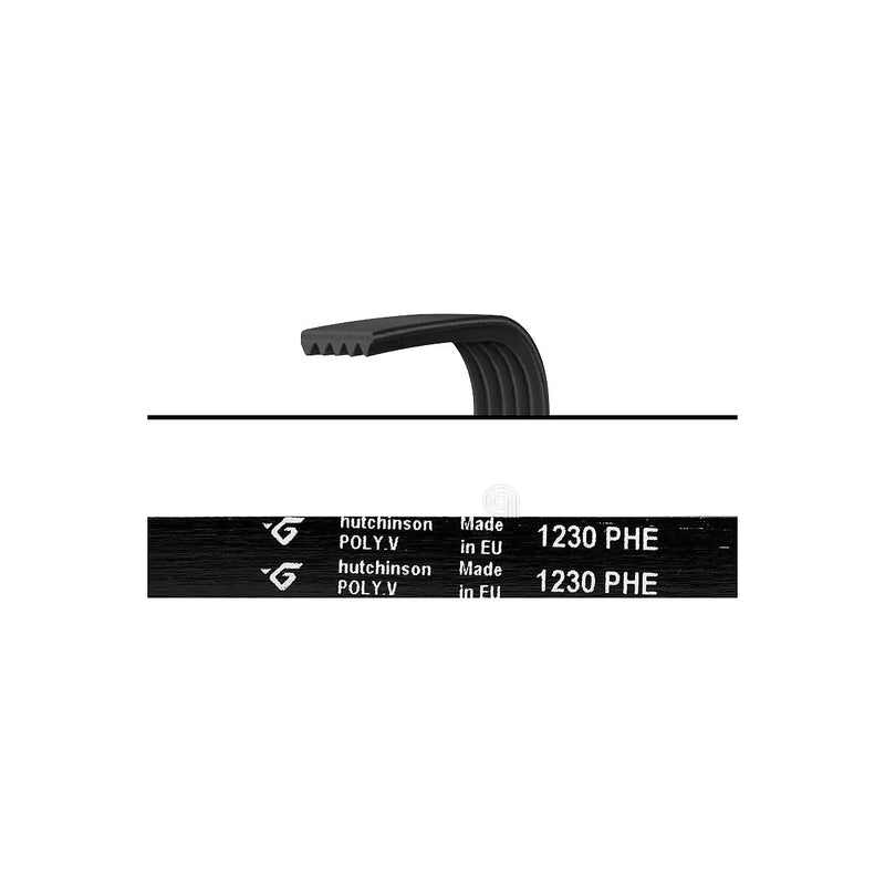 NEW POL, BLUESKY - Correia para lavadora 1230 H7 - 416004200