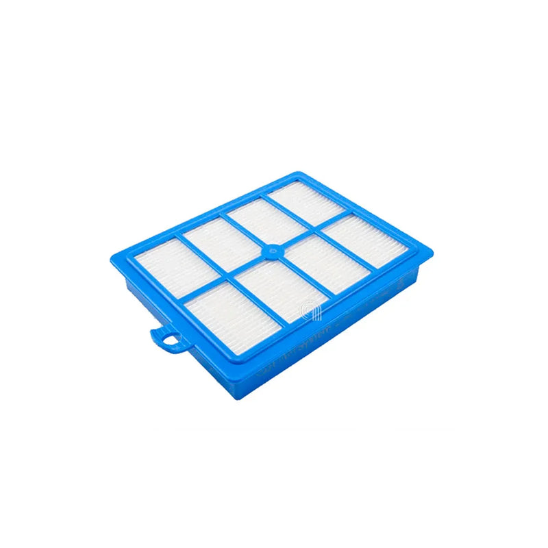 Filtro HEPA retangular Allergy Plus EFS1W Electrolux original