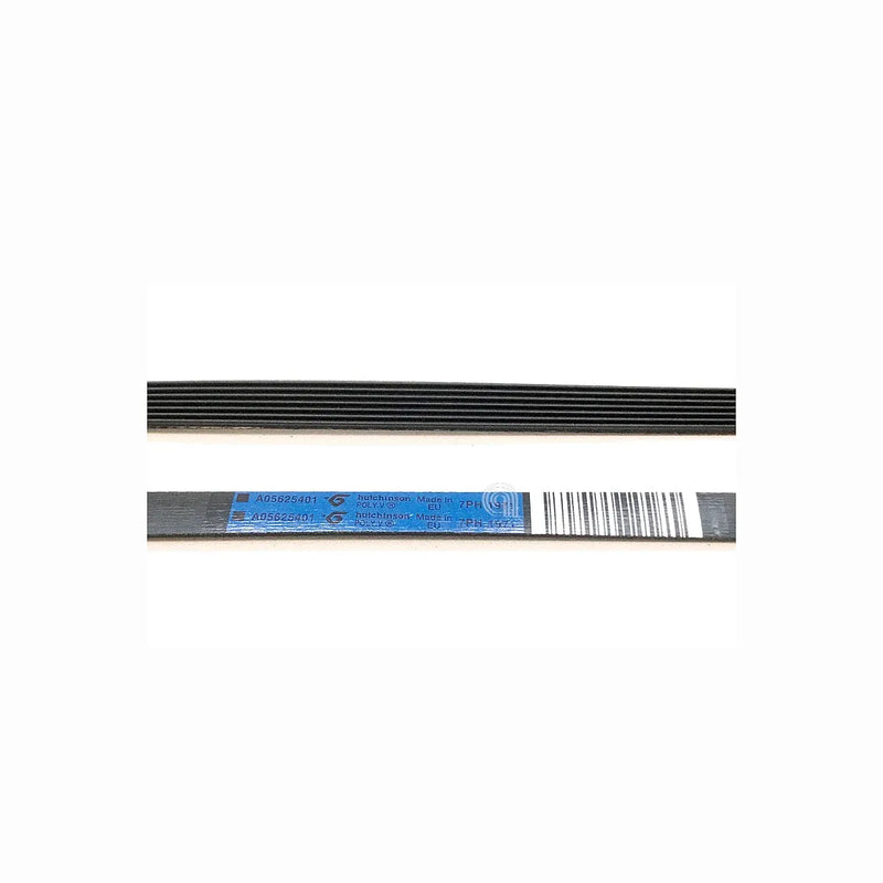 Correia H7 1971 Poly-V para secadora Electrolux original