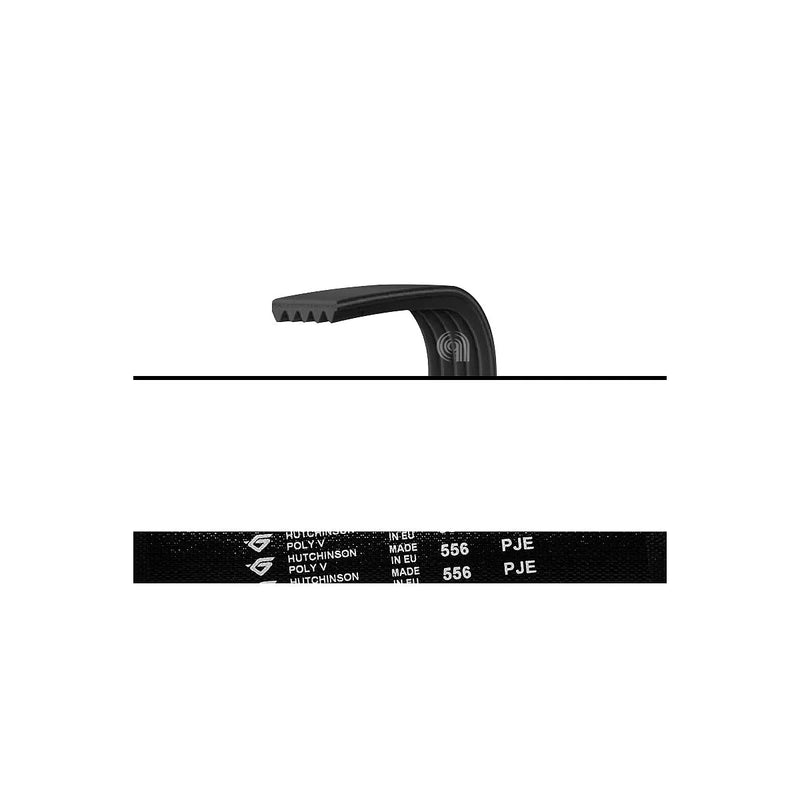 WHIRLPOOL MAYTAG - Correia de transmissão elástica J5 556 Poly-V para Máquina de Lavar Roupa - W10006384