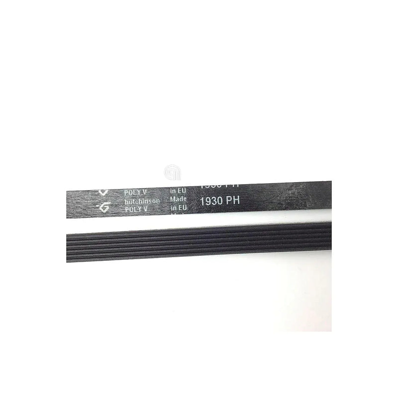 Correia H6 1930 Poly-V para secadora Brandt original 57X1074