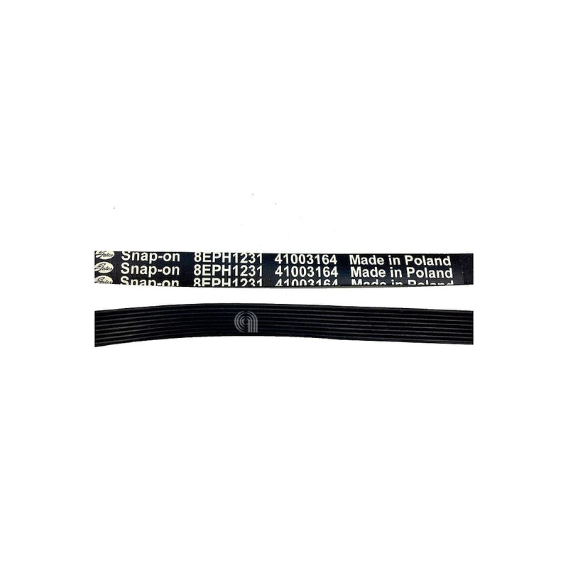 Correia H8 1231 Poly-V original para máquinas de lavar Candy e compatíveis