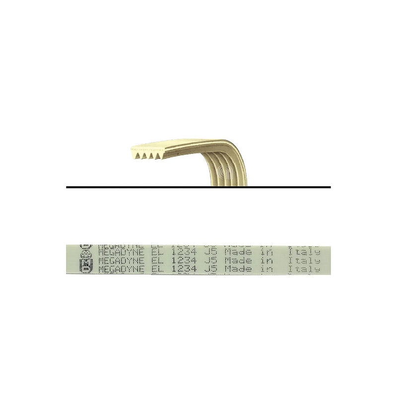 CANDY - Correia elástica J5 1234 para Máquina de Lavar - AST-00126440