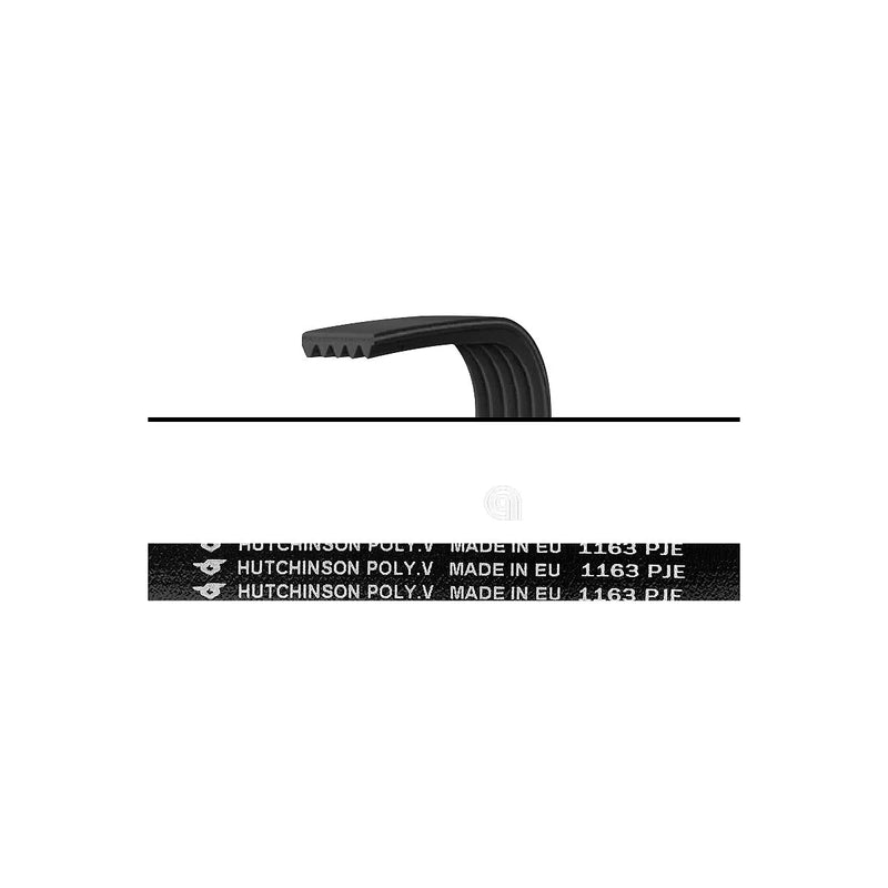 BOSCH - Correia de Transmissão J4 1163 Poly-V Máquina de Lavar Roupa - 00661153