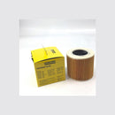 Filtro cónico original Karcher para aspirador código 64145520