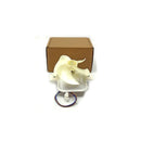 BEKO - Motor do frigorífico Fridge - 4305891385