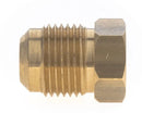Tampão SAE 1/2" M