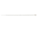 Abraçadeira de Nylon 2,5x100mm (100 unidades) | 11101919