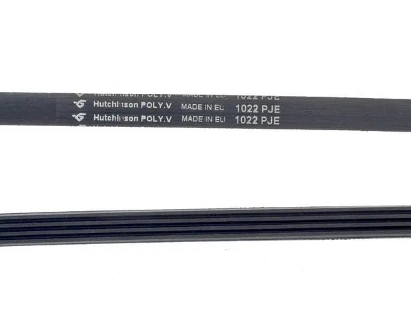 MEGADYNE Correia para Máquina de Lavar Estriada 1022 J-4