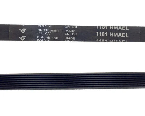 Correia para máquina de lavar estriada 1181 h-8