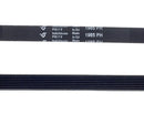 Correia para máquina de lavar estriada 1985 H-8