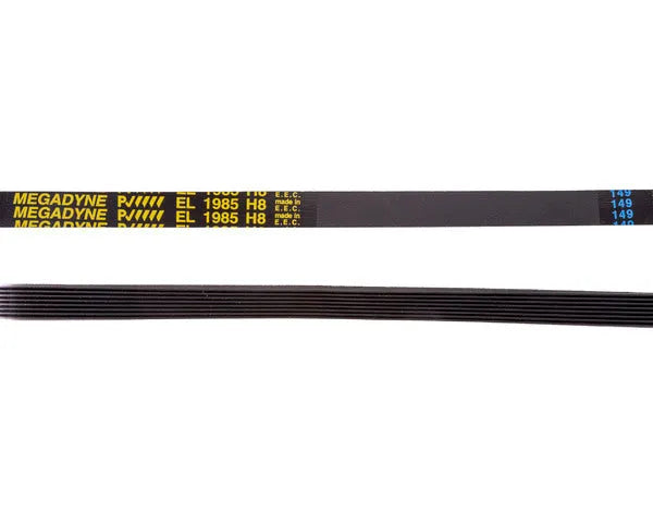 Correia para máquina de secar EL 1985 H8