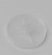 Filtro cafetera Krups MS-624348