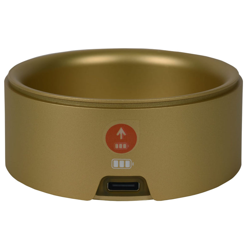 Base de carregador Rowenta SS-1810002004